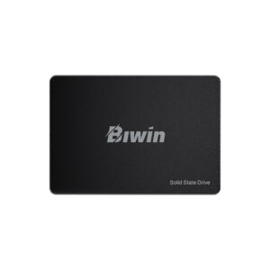 Unidad de Estado Sólido BIWIN M100