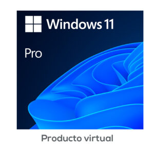 Microsoft Windows 11 Pro