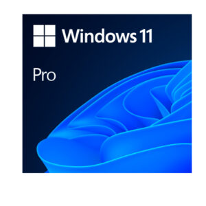 Microsoft Windows 11 Pro